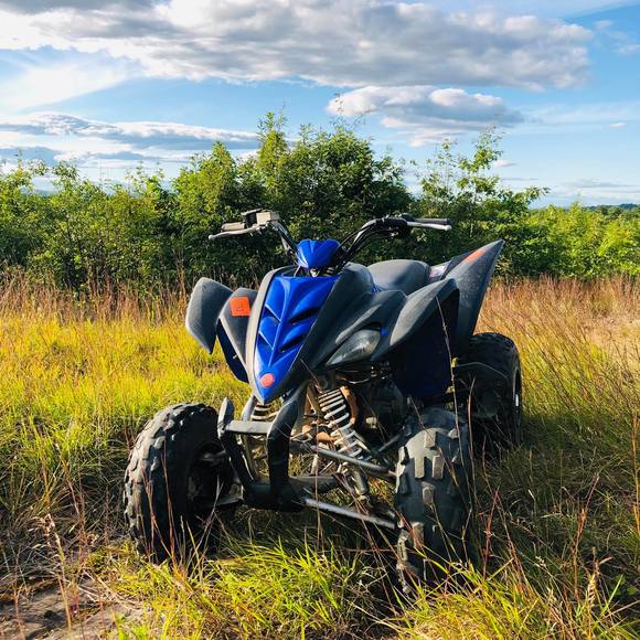 Meet your Posher, Jacob - Picture 1 of 1